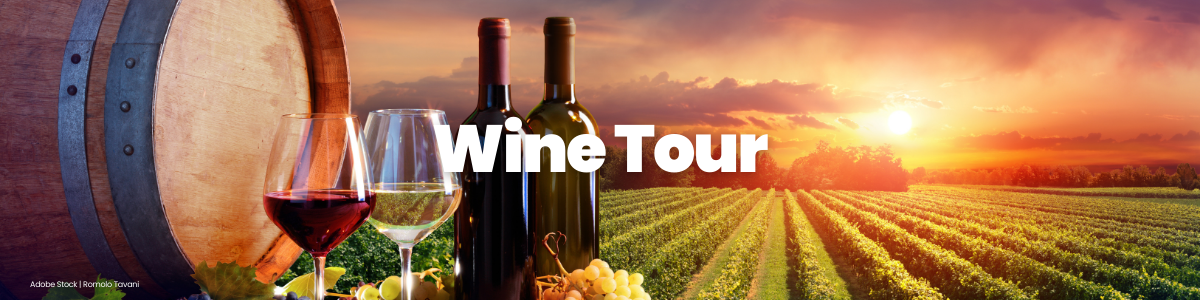 Universal Scavenger Hunt Tour